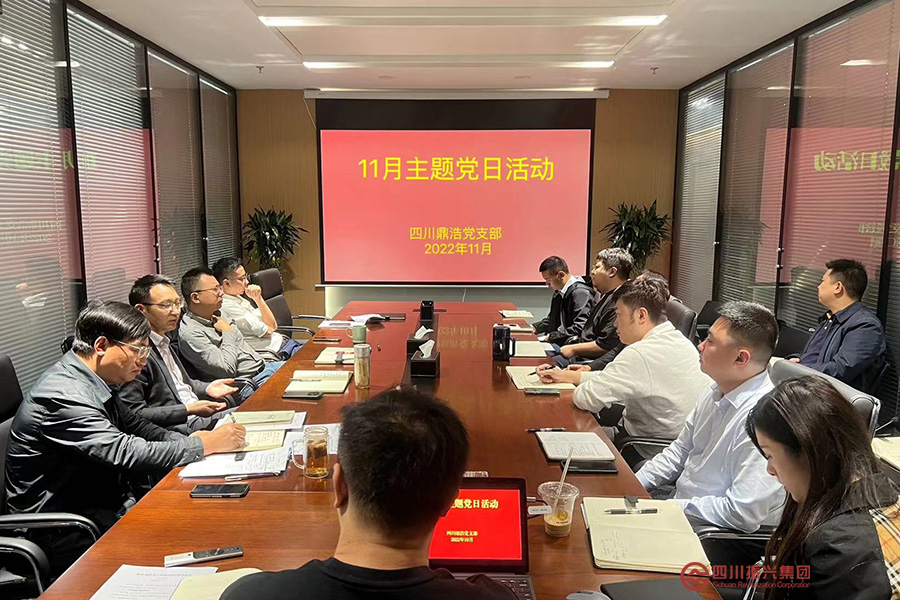 四川鼎浩党支部学习贯彻党的二十大精神
