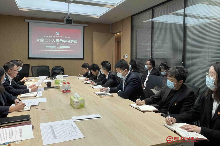 四川盈耀党支部学习贯彻党的二十大精神