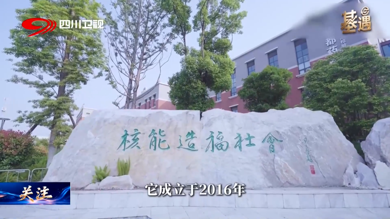 图片8